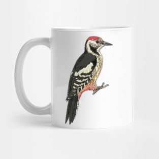 Middle spotted Woodpecker Mug